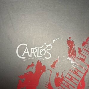 Carlos Multicolored Pump platform with an open toe.